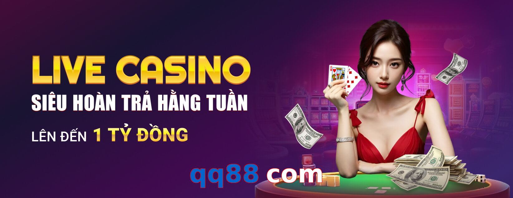 qq88 com