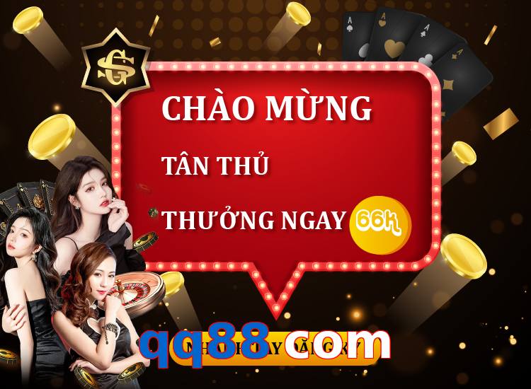 qq88 com